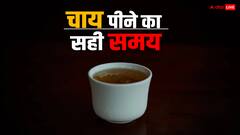 हर वक्त चाय पीना क्यों होता है खतरनाक, एक्सपर्ट ने बताया सही टी टाइम