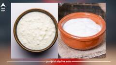 Health News: ਕੈਲਸ਼ੀਅਮ ਤੇ ਵਿਟਾਮਿਨ ਬੀ12 ਨਾਲ ਭਰਪੂਰ ਦਹੀਂ ਖਾਣ ਦੇ 5 ਹੈਰਾਨੀਜਨਕ ਫਾਇਦੇ