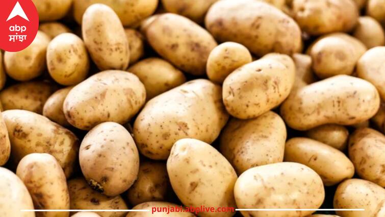 potato-prices-have-started-rising-again-many-places-the-rates-are-more-than-rs-35-per-kg-what-is-the-reason-of-price-hikes Potato Hikes: ਫਿਰ ਵਧਣ ਲੱਗੀਆਂ ਆਲੂ ਦੀਆਂ ਕੀਮਤਾਂ, ਕਈ ਥਾਵਾਂ 'ਤੇ 35 ਰੁਪਏ ਕਿਲੋ ਹੋਇਆ ਆਲੂ, ਜਾਣੋ ਵਜ੍ਹਾ