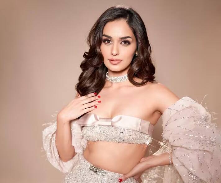 માનુષીની બીજી ફિલ્મ વિકી કૌશલ સાથે હતી જે 2023માં રિલીઝ થઈ હતી. આ ફિલ્મ કોમેડી ડ્રામા 'ધ ગ્રેટ ઈન્ડિયન ફેમિલી' હતી. આ ફિલ્મ 40 કરોડના બજેટમાં બની હતી પરંતુ માત્ર 5 કરોડનો જ બિઝનેસ કરી શકી હતી.