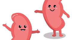 உங்கள் சிறுநீரகங்கள் சரியாக வேலை செய்யவில்லை என்பதற்கான 6 ஆபத்தான அறிகுறிகள்!