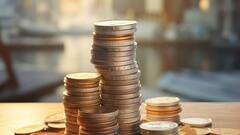 Mutual Fund: বেঞ্চমার্ককে টপকে দুরন্ত রিটার্ন এনেছে এই লার্জক্যাপ ফান্ডগুলি, আপনার বিনিয়োগ ছিল ?