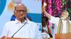 Sharad Pawar : मोदींच्या विरोधात लोकांमध्ये रोष, म्हणून आता हिंदू- मुस्लिम केलं जातंय; शरद पवारांचा हल्लाबोल