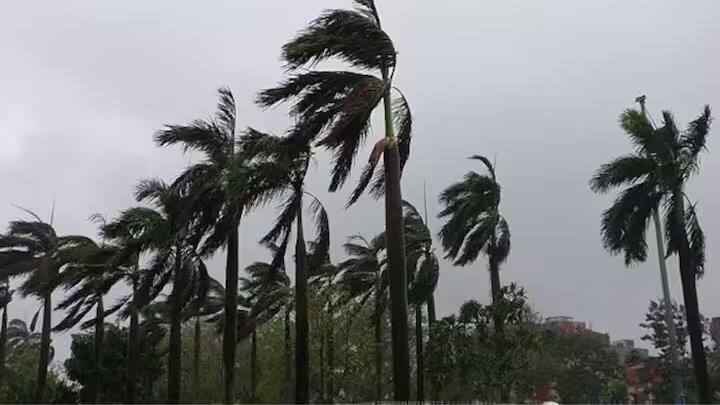 હવામાન વિભાગના જણાવ્યા અનુસાર વિદર્ભ, પૂર્વી મધ્યપ્રદેશ, છત્તીસગઢ, તટીય આંધ્રપ્રદેશ, ઓડિશામાં વીજળી અને તેજ પવન સાથે તોફાન થવાની સંભાવના છે. આ રાજ્યોમાં પવનની ઝડપ 40-50 કિમી પ્રતિ કલાકની રહેશે. આ રાજ્યોમાં લોકોને ગરમીથી થોડી રાહત મળી શકે છે.