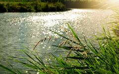 क्या है बारिश और लू को लेकर अपडेट? इन राज्यों के लिए काफी खतरनाक हैं आने वाले दिन