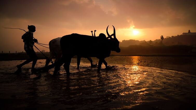 Gujarat Monsoon Big news for farmers monsoon will arrive two day early in state Gujarat Monsoon: ખેડૂતો માટે મોટા સમાચાર, રાજ્યમાં ચોમાસું બે દિવસ વહેલું શરૂ થશે