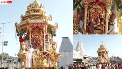 తిరుమలలో వైభవంగా సాలకట్ల వసంతోత్సవాలు - స్వర్ణరథంపై మలయప్ప స్వామి దర్శనం