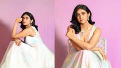 Rinku Rajguru: पुरस्कार सोहळ्यात बोल्ड लूक करणं रिंकू राजगुरूला चांगलच महागात पडलं; चाहते नाराज!