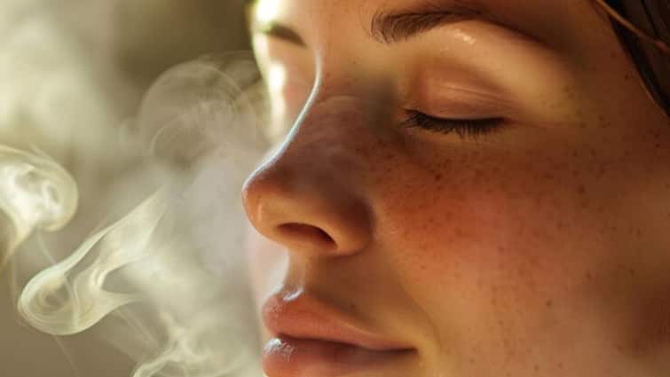 steam on the face is good or not for skin know about its effect Facial Steaming: क्या चेहरे पर स्टीम लेना सही होता है? आइए जानते हैं इसके प्रभाव के बारे में