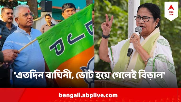 Loksabha Election 2024 Dilip Ghosh Mocks Mamata Banerjee Says Tigress Turns In To Cat After Election Dilip Ghosh : 'এতদিন বাঘিনী, ভোট হয়ে গেলেই বিড়াল' মুখ্যমন্ত্রীকে কেন এমন কটাক্ষ দিলীপের ?