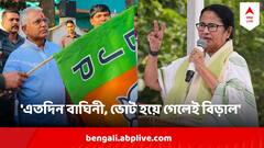 'এতদিন বাঘিনী, ভোট হয়ে গেলেই বিড়াল' মুখ্যমন্ত্রীকে কেন এমন কটাক্ষ দিলীপের ?