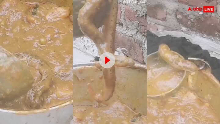 Poisonous snake found alive in potato curry people screamed watch Viral Video Viral Video: आलू की सब्जी में निकला जिंदा जहरीला सांप, देखने वालों की निकल गई चीखें