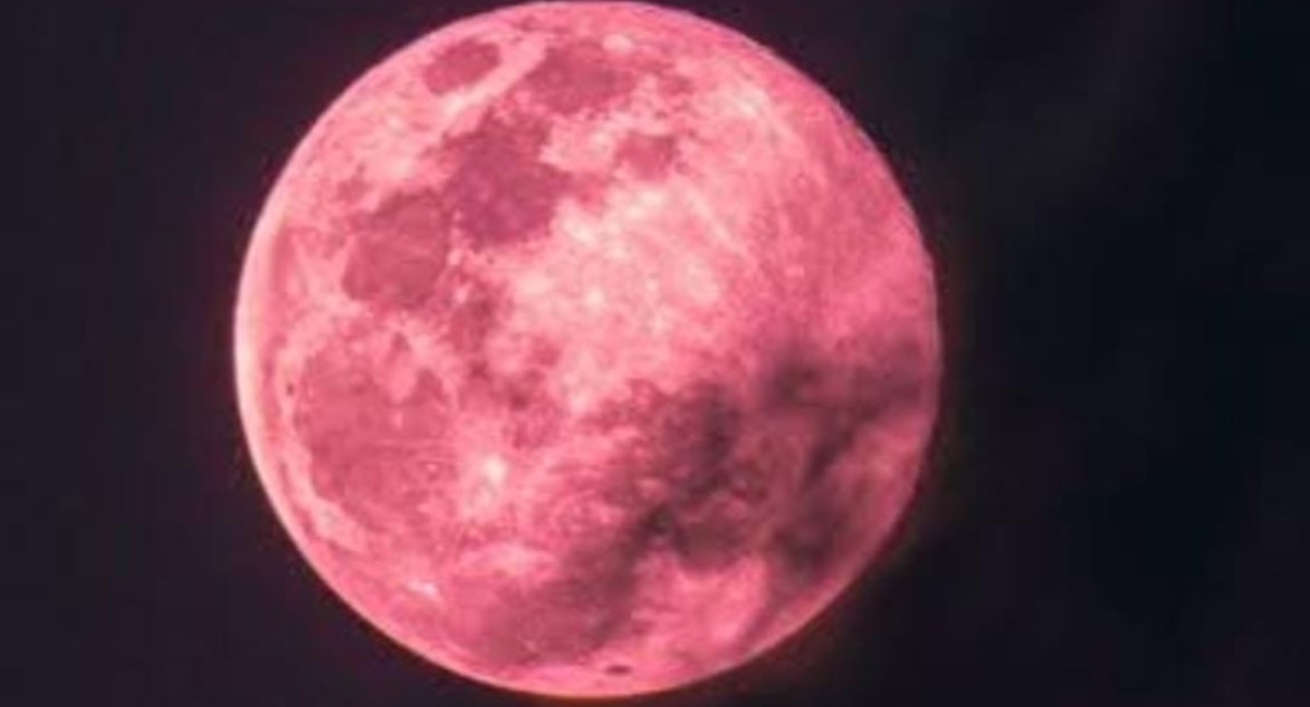 Pink Moon: इस दिन आसमान में दिखेगा गुलाबी चांद, गोरखपुर के तारामंडल के वैज्ञानिक से जानें डिटेल