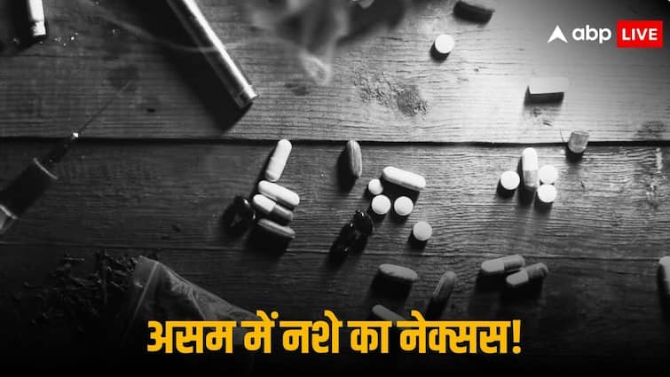What is Pao Drug Supplied in Assam Dhubri From West Bengal Amid 2024 Lok Sabha Election Pao Drug: क्या है 'पाव ड्रग', जिसकी चपेट में असम के युवा? लोगों ने कहा- बढ़ गया अपराध