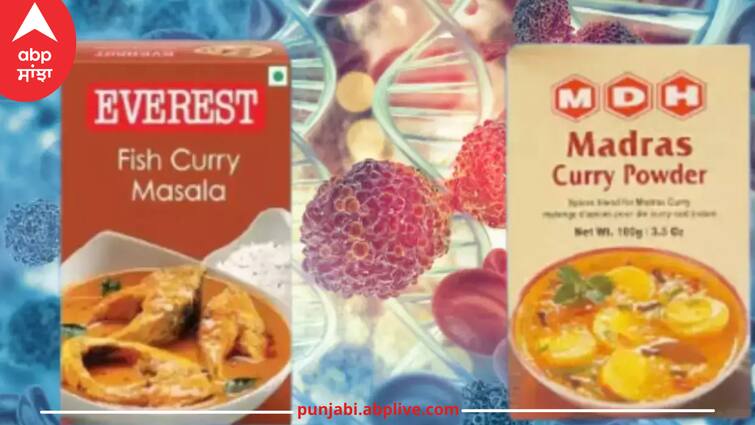 MDH and Everest Spices Ban in hongkong MDH and Everest Spices Ban: Everest ਅਤੇ MDH ਮਸਾਲਿਆਂ ਤੋਂ ਕੈਂਸਰ ਦਾ ਖਤਰਾ! ਲੱਗੀ ਪਾਬੰਦੀ, ਇੰਝ ਪਹੁੰਚਾ ਰਹੇ ਨੁਕਸਾਨ