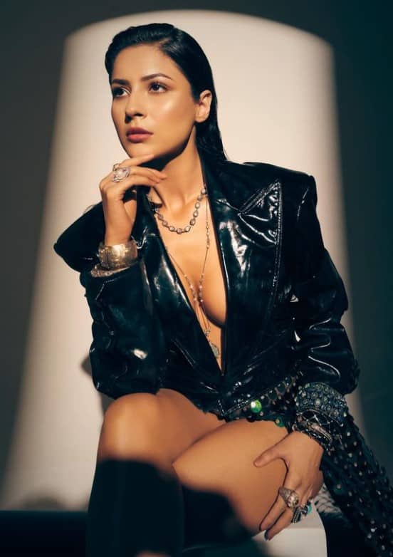 ਸ਼ਹਿਨਾਜ਼ ਗਿੱਲ ਨੇ ਆਪਣੇ ਕਰੀਅਰ ਦੀ ਸ਼ੁਰੂਆਤ ਸਲਮਾਨ ਖਾਨ ਦੀ ਫਿਲਮ 'ਕਿਸੀ ਕਾ ਭਾਈ ਕਿਸੀ ਕੀ ਜਾਨ' ਨਾਲ ਕੀਤੀ, ਜੋ ਬਾਅਦ 'ਚ ਫਲਾਪ ਸਾਬਤ ਹੋਈ। ਫਿਲਹਾਲ ਪੰਜਾਬ ਦੀ ਕੈਟਰੀਨਾ ਕੈਫ ਹੋਰ ਵੀ ਕਈ ਬਾਲੀਵੁੱਡ ਫਿਲਮਾਂ ਵਿੱਚ ਆਪਣਾ ਜਲਵਾ ਦਿਖਾਉਂਦੇ ਹੋਏ ਨਜ਼ਰ ਆਏਗੀ।