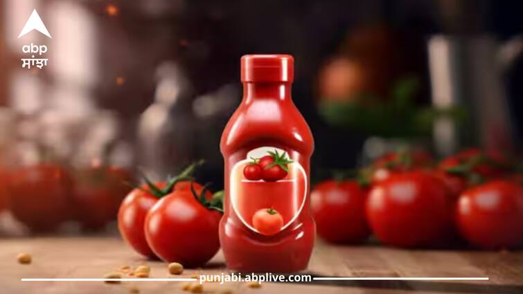 side-effects-of-tomato-ketchup-know-it-effect-body-health-tips Tomato Sauce: ਜੇਕਰ ਤੁਸੀਂ ਵੀ ਖਾਂਦੇ ਹੋ Tomato Ketchup, ਤਾਂ ਸੁਣ ਲਓ ਕਿਵੇਂ ਇਹ ਤੁਹਾਡੀ ਸਿਹਤ ਦੇ ਲਈ ਖਤਰਨਾਕ