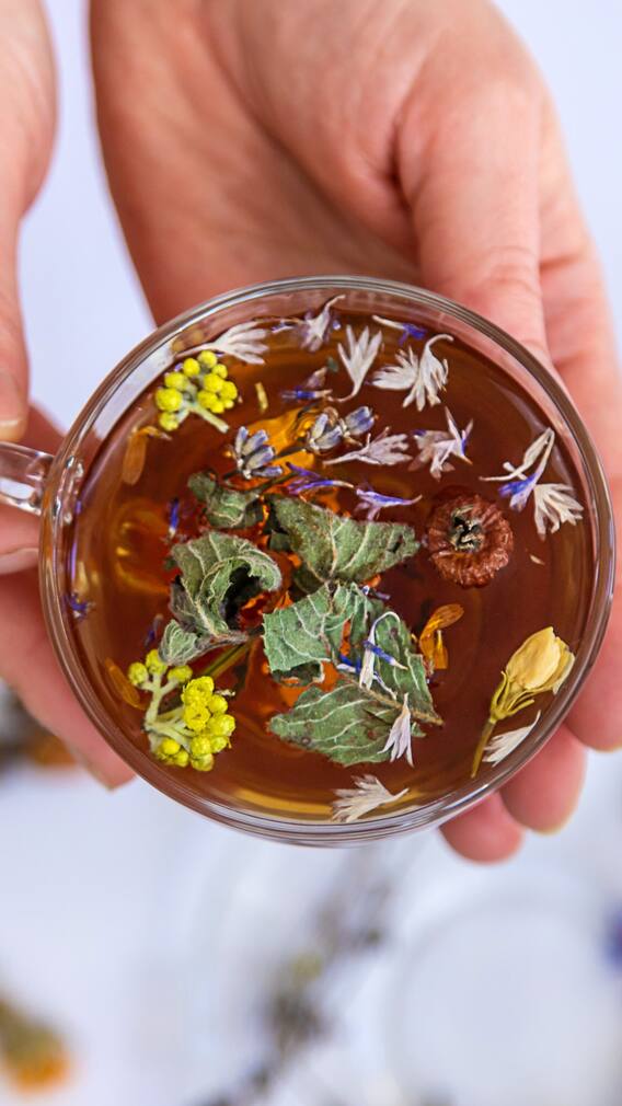 సమ్మర్​లో ఈ ఫ్లోరల్ టీలు తాగితే వేడి తగ్గుతుందట