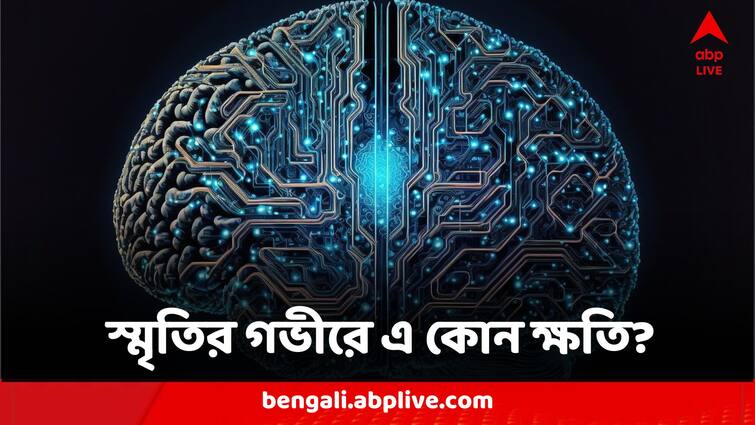 New Memory Makes Cell Damage In Brains Finds Study Published In Journal Nature Science News:নতুন কিছু স্মরণে রাখতে গিয়ে মস্তিষ্ক-কোষের ক্ষতি হচ্ছে না তো? চাঞ্চল্যকর ইঙ্গিত গবেষণায়