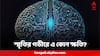 Science News:নতুন কিছু স্মরণে রাখতে গিয়ে মস্তিষ্ক-কোষের ক্ষতি হচ্ছে না তো? চাঞ্চল্যকর ইঙ্গিত গবেষণায়