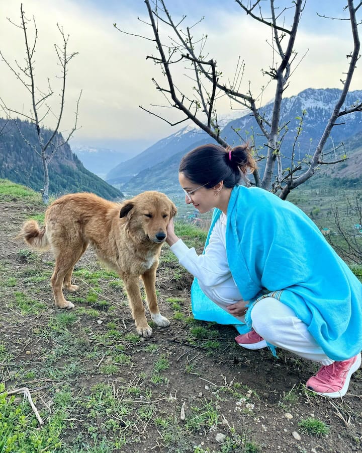 श्रद्धाच्या या फोटोंना खूप पसंती दिली जात आहे. तसेच चाहते कमेंट करून अभिनेत्रीचे खूप कौतुक करत आहेत.