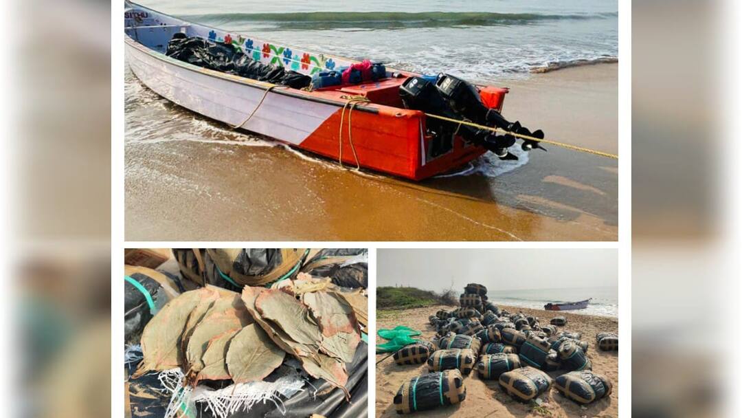 மூட்டை மூட்டையாக சிக்கிய பீடி இலைகள்! இலங்கைக்கு கடத்த முயற்சி! தட்டித்துக்கிய போலீஸ்: எப்படி?