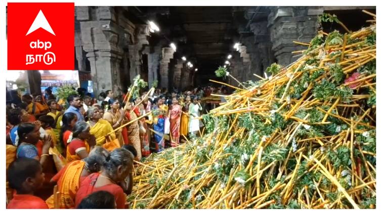 Mayiladuthurai Vaitheeswaran Temple Nagarathar Festival Devotees Pour In வைத்தீஸ்வரன் கோயிலில் தொடரும் பாரம்பரிய வழிபாடு : பாதயாத்திரையாக வந்த பக்தர்கள்.