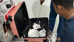 बैंकॉक से सूटकेस में 10 एनाकोंडा छिपाकर भारत पहुंचा शख्स, एयरपोर्ट पर ऐसे आया पकड़ में