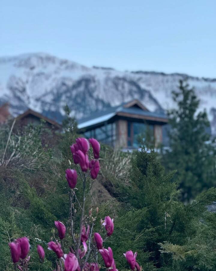 अभिनेत्रीने चष्मा घातलेला दिसत आहे आणि तिने हातात बॅग देखील घेतली आहे.