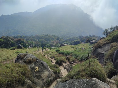 The death toll in Velliangiri hill has risen to eight this year Velliangiri Hills : வெள்ளியங்கிரி மலையேறிய மேலும் ஒரு பக்தர் உயிரிழப்பு இந்தாண்டில் உயிரிழந்தோர் எண்ணிக்கை எவ்வளவு தெரியுமா?