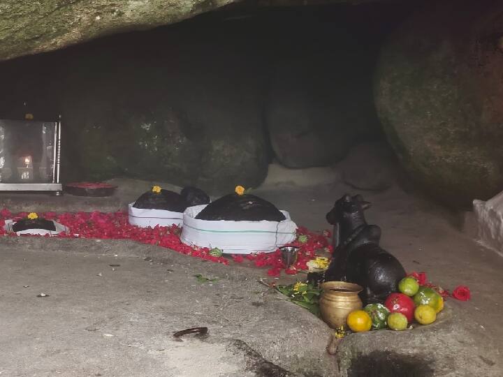 Velliangiri hills : வெள்ளியங்கிரி மலையில் அதிகரிக்கும் உயிரிழப்புகள் ; மலையேறும் முன்பு பக்தர்கள் கவனிக்கவேண்டியது என்னென்ன?