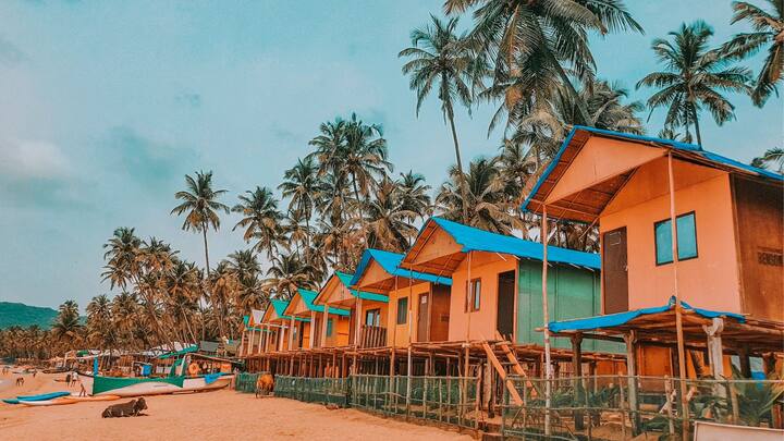 கோடை வெயிலுக்கு இதமாக ஒரு ட்ரிப் செல்ல வேண்டும் என்றால் மலைகளின் ராணி என்று அழைக்கப்படும் ஊட்டிக்கு செல்லலாம். கண்களுக்கு எட்டிய தூரம் வரை இருக்கும் தேயிலை தோட்டமும், மலைக்காடுகளும் பார்ப்பவர்களை வசீகரிக்கும்.
