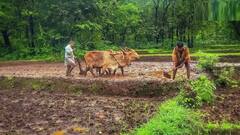 PM Kisan Yojana: પીએમ કિસાન યોજનાનો લાભ લેવા માટે તમારી પાસે કેટલી જમીન હોવી જોઇએ ?