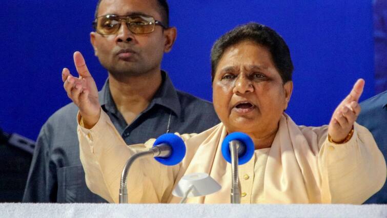 Aligarh Mayawati roared saying Dhanna Seths support running Government ann UP Lok Sabha Election 2024: मायावती ने अलीगढ़ में भरी हुंकार, बोली-'धन्ना सेठों के सहारे पर चल रही सरकार'