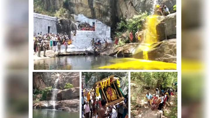 Chenbhadevi waterfall pouring yellow color Theerthawari program held for Goddess Chenbhadevi மஞ்சளாக கொட்டிய  செண்பகாதேவி அருவி! அம்மனுக்கு நடைபெற்ற தீர்த்தவாரி நிகழ்ச்சி - குவிந்த பக்தர்கள்