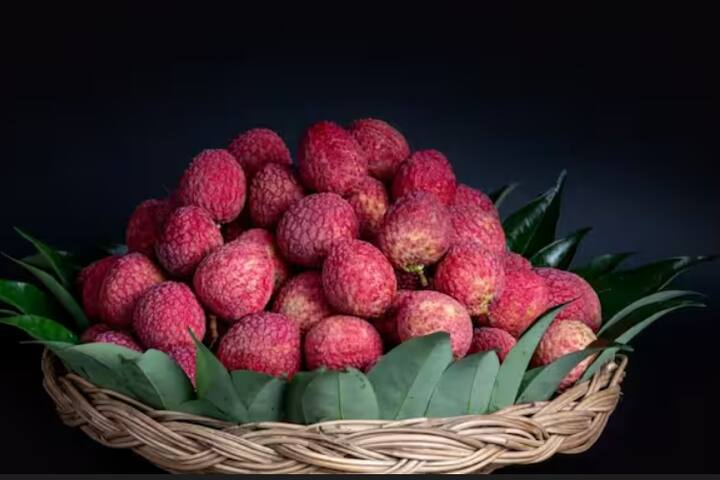 ਇਸ ਦੇ ਨਾਲ ਹੀ ਹਫ਼ਤੇ ਦੇ ਫਰਕ ਤੋਂ ਬਾਅਦ ਲੋੜ ਅਨੁਸਾਰ ਫਲਾਂ 'ਤੇ ਯੂਰੀਆ ਦੇ ਘੋਲ ਦਾ ਛਿੜਕਾਅ ਕੀਤਾ ਜਾ ਸਕਦਾ ਹੈ। ਇਸ ਨਾਲ ਫਲਾਂ ਦਾ ਆਕਾਰ ਵੀ ਵਧ ਜਾਂਦਾ ਹੈ।