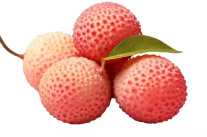 ਲੀਚੀ ਦੇ ਫਲਾਂ ਦਾ ਆਕਾਰ ਵਧਾਉਣ ਲਈ ਕਿਸਾਨ ਅਪ੍ਰੈਲ ਮਹੀਨੇ ਵਿਚ 450 ਗ੍ਰਾਮ ਤੋਂ 500 ਗ੍ਰਾਮ ਯੂਰੀਆ ਪਾ ਸਕਦੇ ਹਨ।