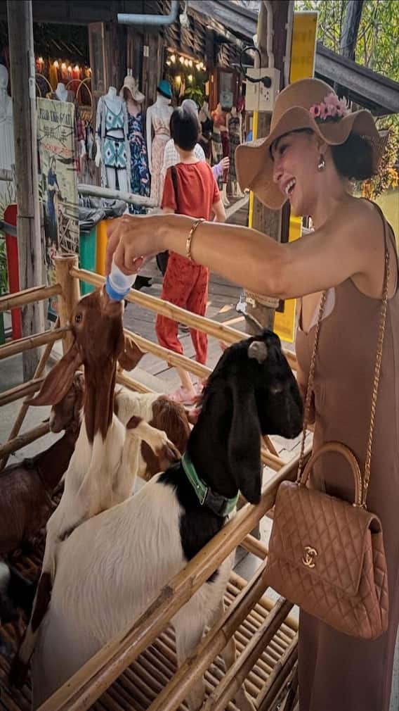 Jacqueline Fernandez Shares Her Love For Baby Goats On Gram