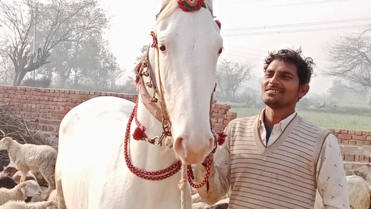 Deeg mare and owner were dragged 100 meters by a vehicle both of them died ANN Deeg Road Accident: टक्कर मारने के बाद वाहन ने घोड़ी और मालिक को 100 मीटर घसीटा, दर्दनाक मौत