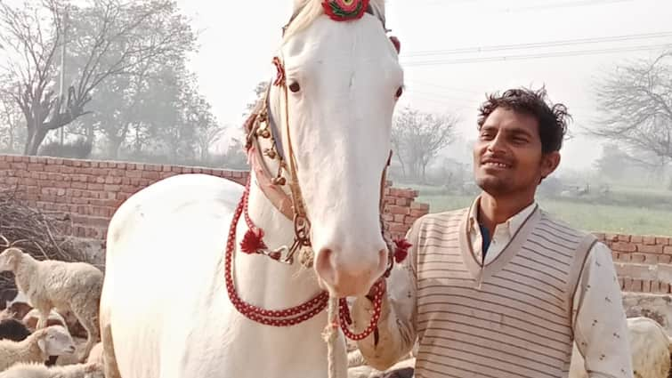 डीग: टक्कर मारने के बाद वाहन ने घोड़ी और मालिक को 100 मीटर घसीटा, दर्दनाक मौत