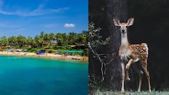 Budget Trips : கையில் 6000 ரூபாய் இருந்தால் போதும்.. இங்கெல்லாம் ஜாலியாக ட்ரிப் போகலாம்!