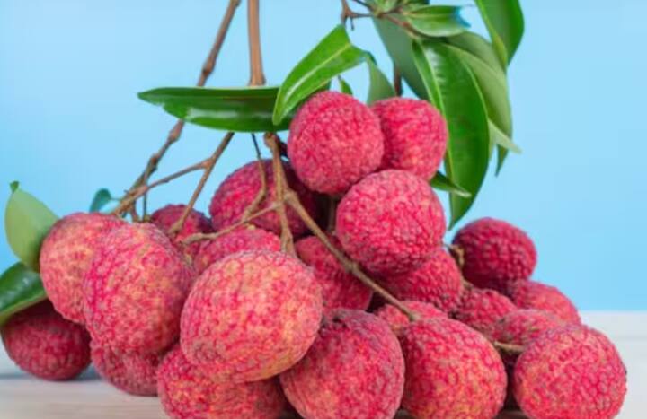 ਅਪ੍ਰੈਲ ਮਹੀਨੇ ਵਿੱਚ ਲੀਚੀ ਦੀ ਬਾਗਬਾਨੀ ਕਰਦੇ ਸਮੇਂ ਕਿਸਾਨ ਲੀਚੀ ਦਾ ਆਕਾਰ ਵਧਾਉਣ ਲਈ ਦੋ ਖਾਦਾਂ ਦੀ ਵਰਤੋਂ ਕਰ ਸਕਦੇ ਹਨ।