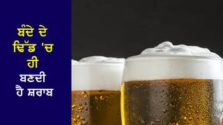 ਬੰਦੇ ਦੇ ਢਿੱਡ 'ਚ ਹੀ ਬਣਦੀ ਹੈ ਸ਼ਰਾਬ, ਸੁਣ ਕੇ ਅਦਾਲਤ ਵੀ ਰਹਿ ਗਈ ਹੈਰਾਨ…