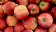 Fiber Rich Foods: ওজন কমানোর জন্য চলছে শারীরিক কসরত, সঙ্গে কড়া ডায়েটও, মেনুতে রাখতে পারেন ফাইবার সমৃদ্ধ এই ৫ খাবার