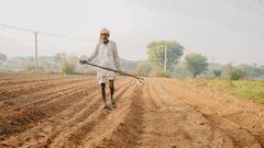 PM Kisan Yojana: किसान योजना से जुड़े सवालों का जवाब देंगे मुखिया जी, चौपाल पर होगी चर्चा