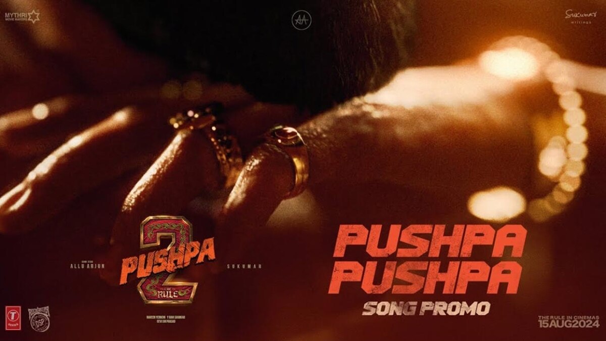 Pushpa 2 First Single: புஷ்பா புஷ்பா... ப்ரோமோவே  அள்ளுதே! வெளியானது புஷ்பா 2 படத்தின் ஃபர்ஸ்ட் சிங்கிள் ரிலீஸ் அப்டேட்... 