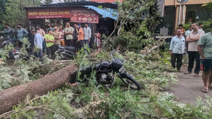 Kolhapur Rain Update : कोल्हापूर शहरात शहर वाहतूक नियंत्रण कार्यालयानजीक वाऱ्यामुळे झाड रस्त्यावर कोसळले. त्यामुळे वाहतूक काही काळ ठप्प झाली. या घटनेत एक दुचाकीस्वार जखमी झाला आहे.