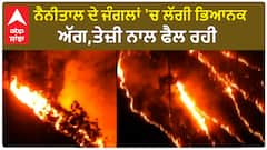 Nanitaal Forest Fire | ਨੈਨੀਤਾਲ ਦੇ ਜੰਗਲਾਂ 'ਚ ਲੱਗੀ ਭਿਆਨਕ ਅੱਗ,ਤੇਜ਼ੀ ਨਾਲ ਫੈਲ ਰਹੀ | Uttrakhand