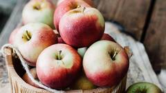 Fiber Rich Foods: ওজন কমানোর জন্য চলছে শারীরিক কসরত, সঙ্গে কড়া ডায়েটও, মেনুতে রাখতে পারেন ফাইবার সমৃদ্ধ এই ৫ খাবার