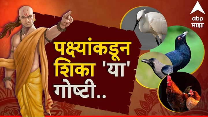 Chanakya Niti Success Mantra Learn Four things From Birds to become successful in life success key mantra from chanakya niti marathi news Chanakya Niti : आयुष्यात कधीच येणार नाही अपयश; उंच भरारी घेण्यासाठी पक्ष्यांकडून शिका 'या' 4 गोष्टी, चाणक्य सांगतात...